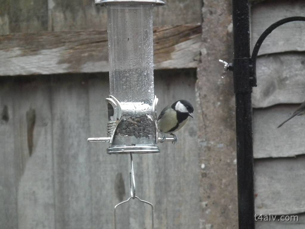 DSCF1245.JPG