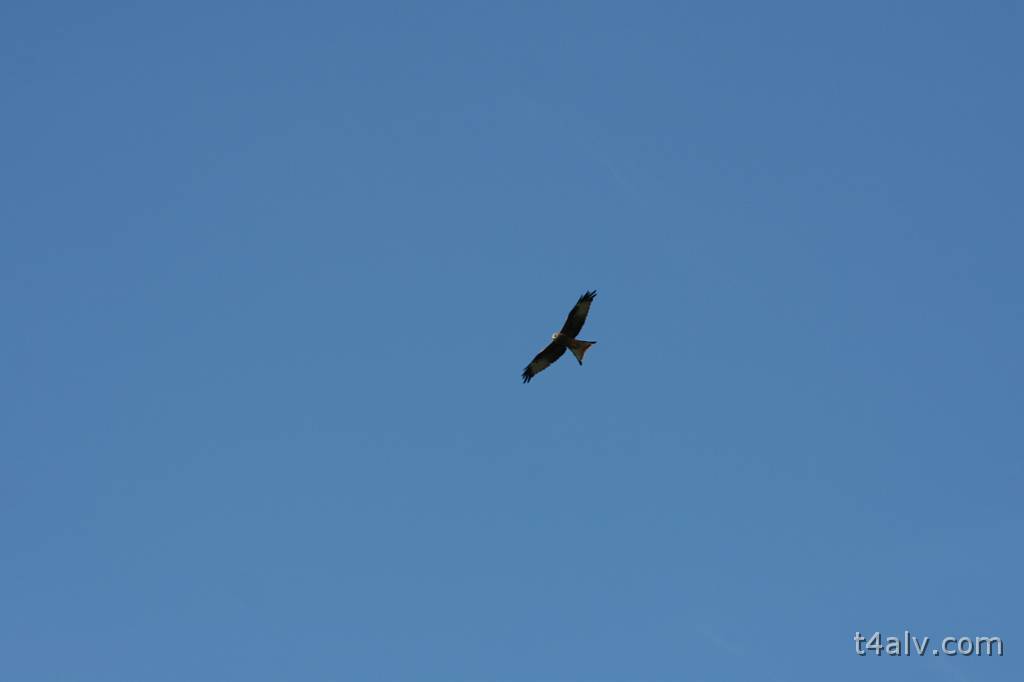 IMG_2589.JPG