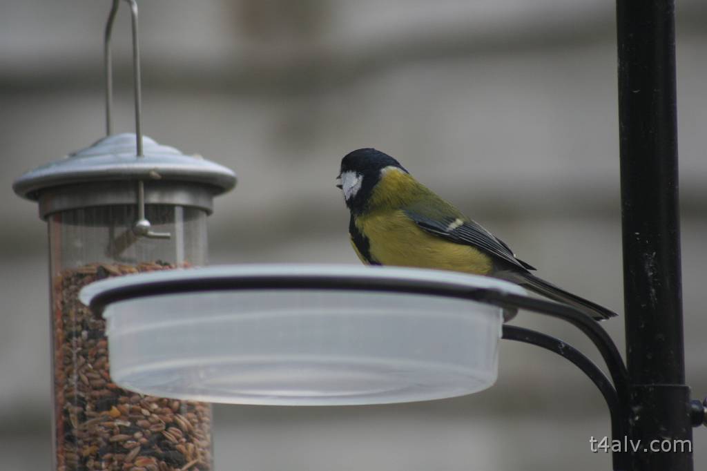 IMG_5764.JPG