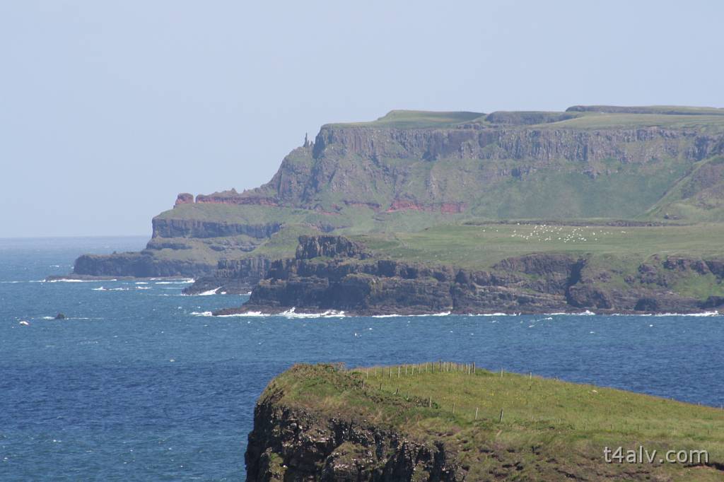 IMG_0997.JPG